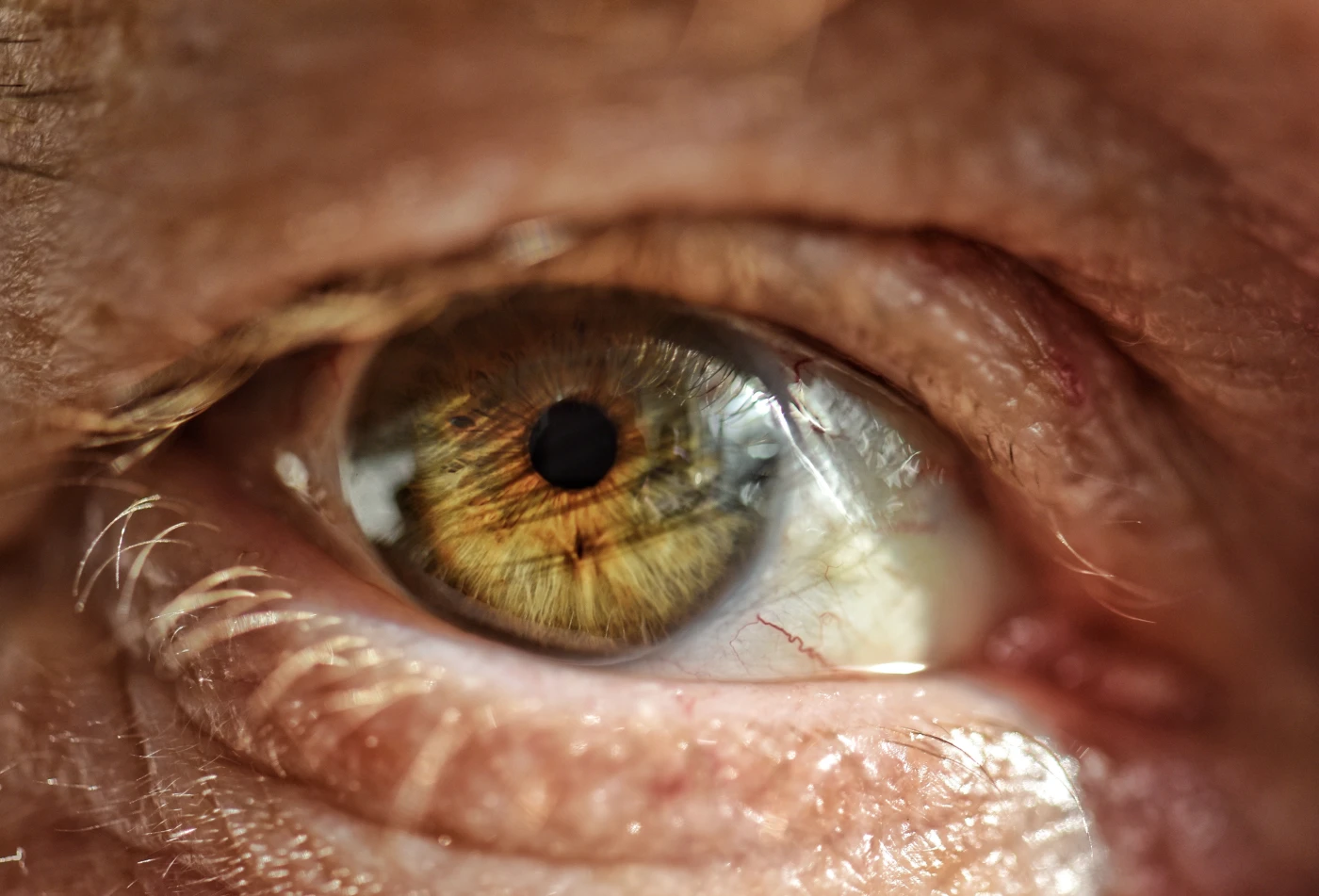 Primer plano de un ojo humano con iris color avellana y piel del párpado expuesta a la luz solar