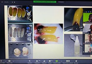 webinar-03-gallery03